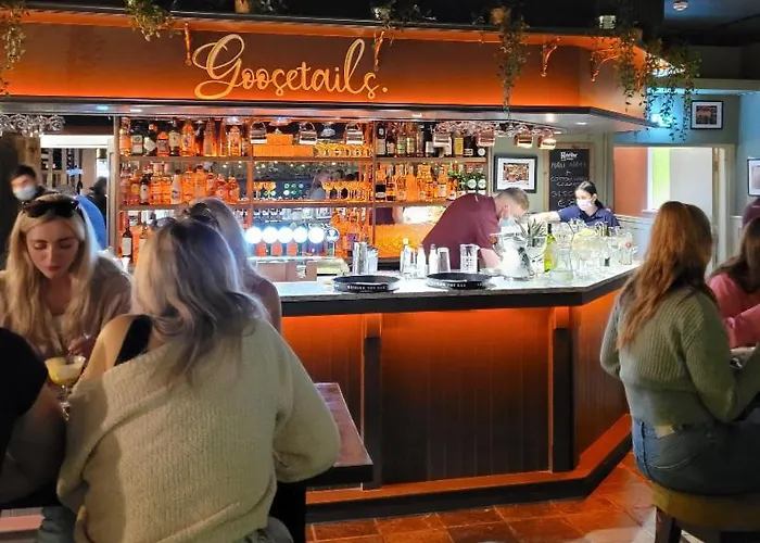 Hotel Goose & Gander