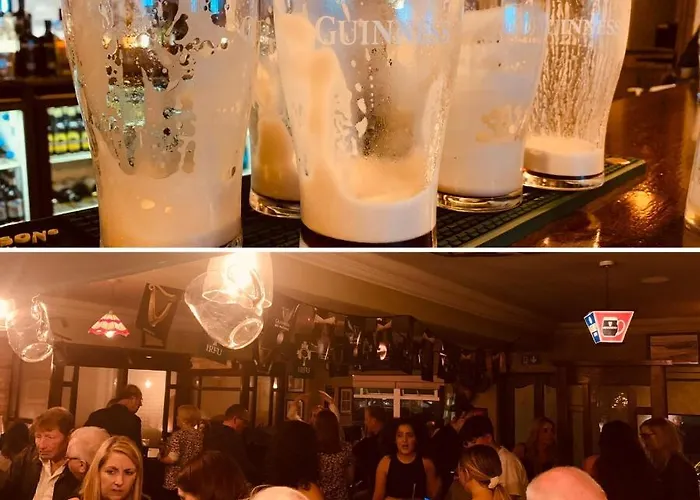 Goose & Gander Даунингс