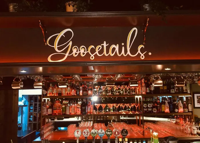 Goose & Gander * Downings